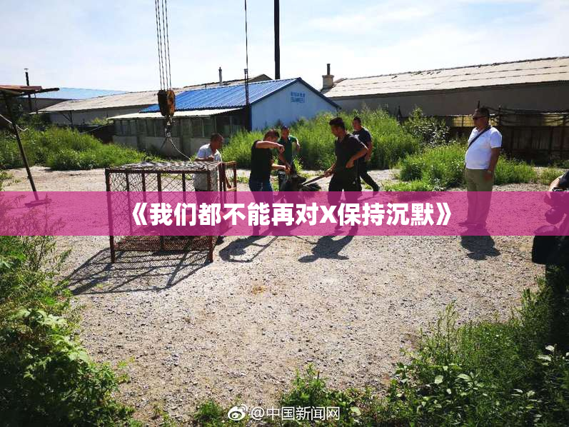 《我们都不能再对X保持沉默》