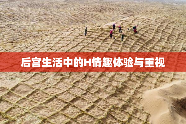 后宫生活中的H情趣体验与重视