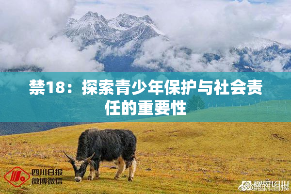 禁18：探索青少年保护与社会责任的重要性
