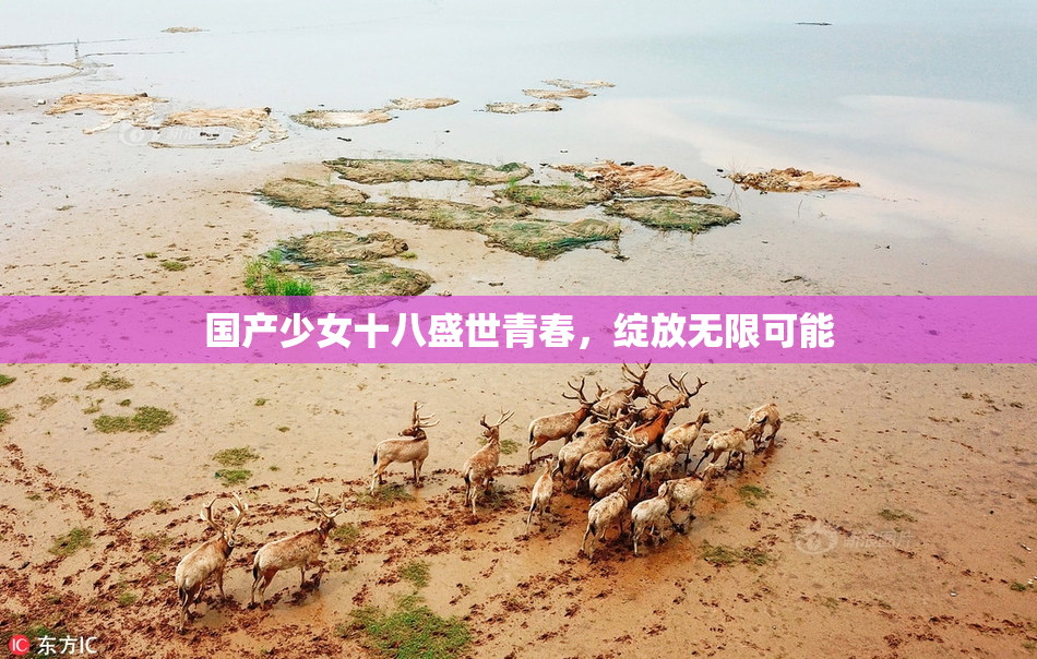 国产少女十八盛世青春，绽放无限可能