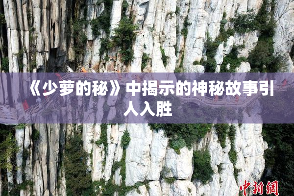 《少萝的秘》中揭示的神秘故事引人入胜
