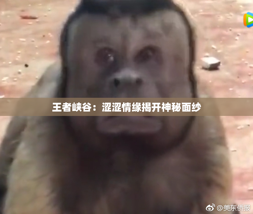 王者峡谷：涩涩情缘揭开神秘面纱