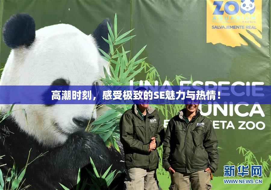 高潮时刻，感受极致的SE魅力与热情！