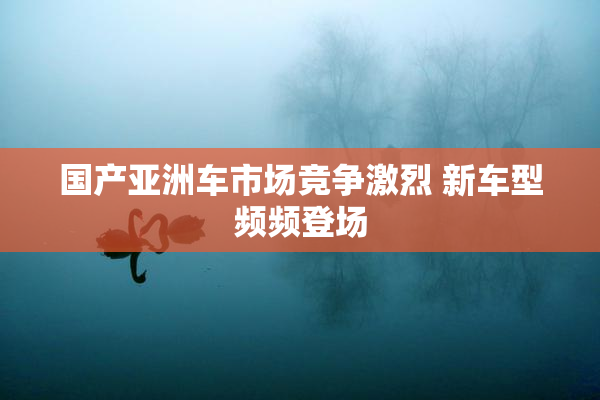 国产亚洲车市场竞争激烈 新车型频频登场