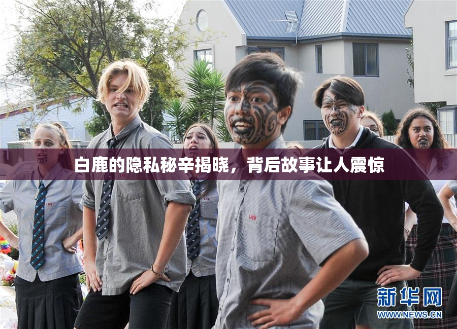 白鹿的隐私秘辛揭晓，背后故事让人震惊