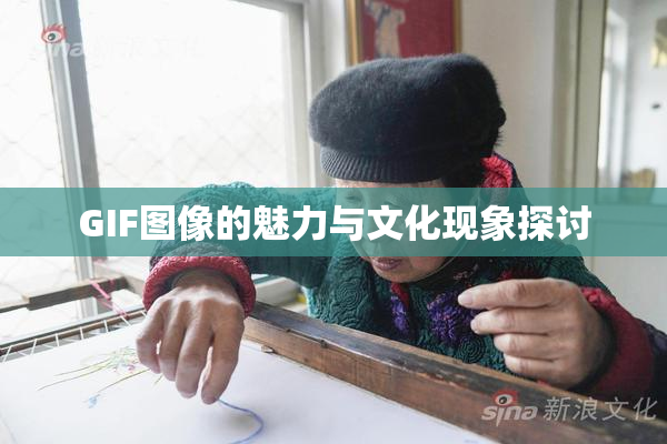 GIF图像的魅力与文化现象探讨