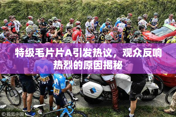 特级毛片片A引发热议，观众反响热烈的原因揭秘