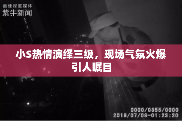 小S热情演绎三级，现场气氛火爆引人瞩目