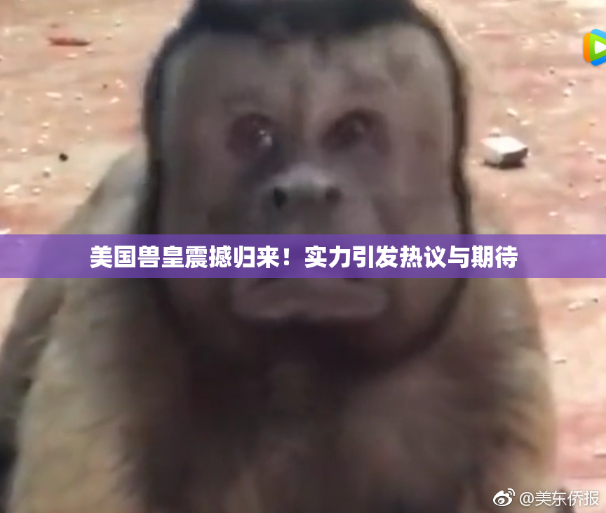 美国兽皇震撼归来！实力引发热议与期待