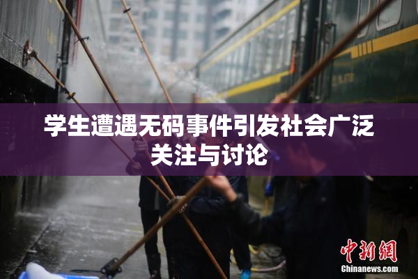学生遭遇无码事件引发社会广泛关注与讨论