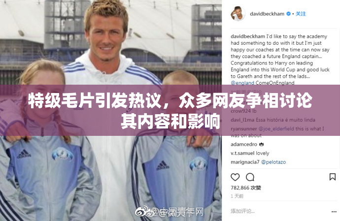特级毛片引发热议，众多网友争相讨论其内容和影响