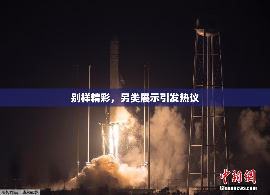 别样精彩，另类展示引发热议