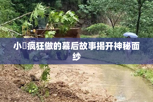 小泬疯狂做的幕后故事揭开神秘面纱