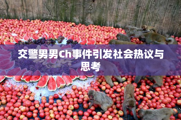 交警男男Ch事件引发社会热议与思考