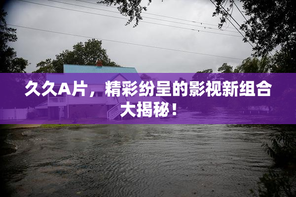 久久A片，精彩纷呈的影视新组合大揭秘！
