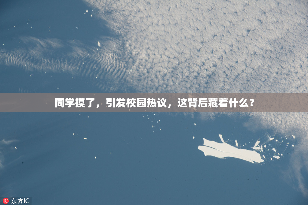 同学摸了，引发校园热议，这背后藏着什么？