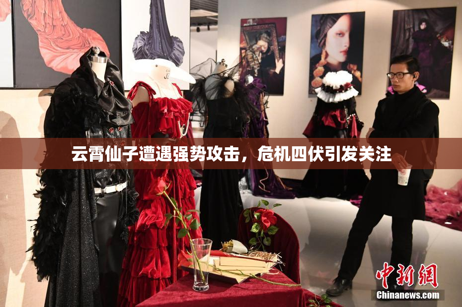 云霄仙子遭遇强势攻击，危机四伏引发关注