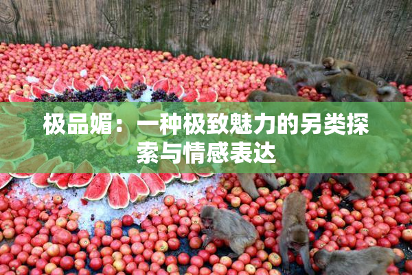 极品媚：一种极致魅力的另类探索与情感表达