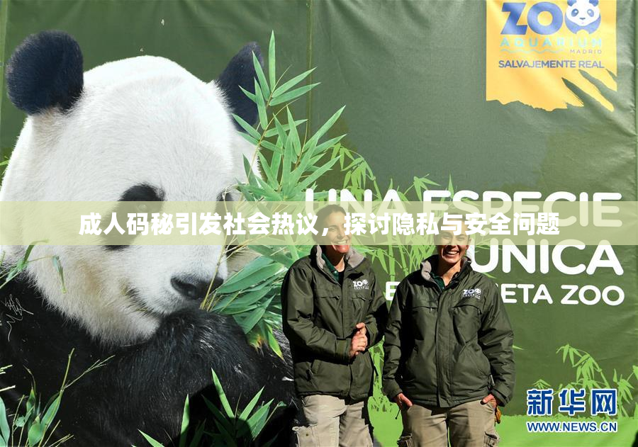 成人码秘引发社会热议，探讨隐私与安全问题