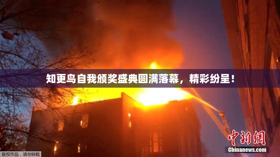 知更鸟自我颁奖盛典圆满落幕，精彩纷呈！