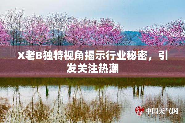 X老B独特视角揭示行业秘密，引发关注热潮