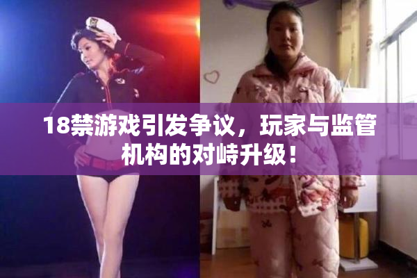 18禁游戏引发争议，玩家与监管机构的对峙升级！