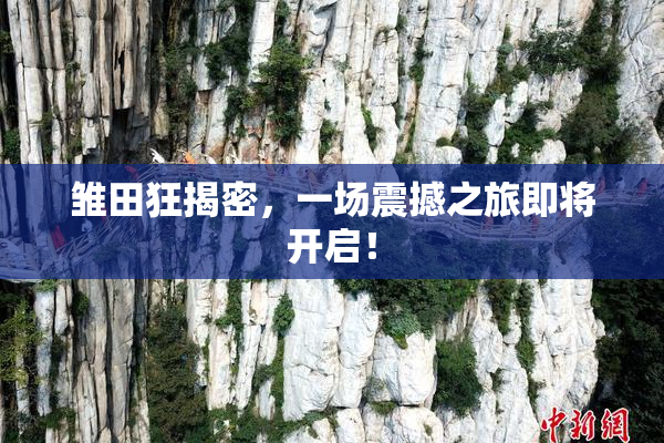 雏田狂揭密，一场震撼之旅即将开启！