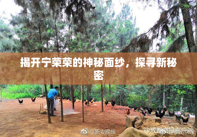 揭开宁荣荣的神秘面纱，探寻新秘密