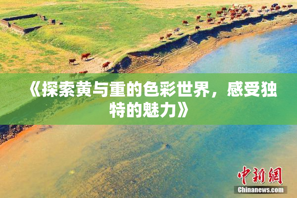 《探索黄与重的色彩世界，感受独特的魅力》