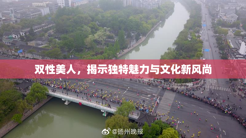 双性美人，揭示独特魅力与文化新风尚