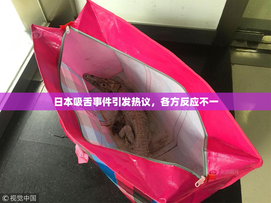 日本吸舌事件引发热议，各方反应不一