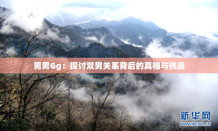 男男Gg：探讨双男关系背后的真相与挑战