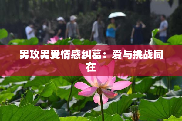 男攻男受情感纠葛：爱与挑战同在