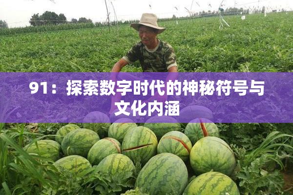 91：探索数字时代的神秘符号与文化内涵
