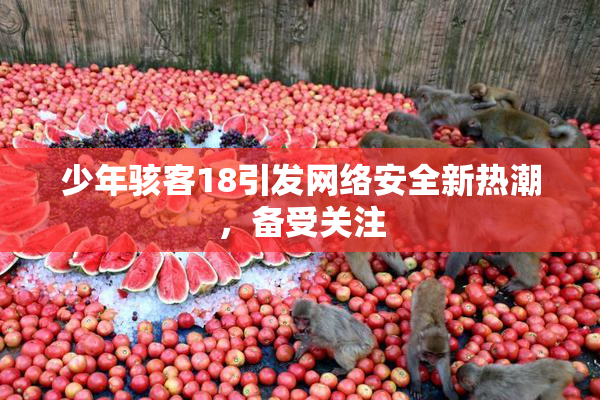 少年骇客18引发网络安全新热潮，备受关注