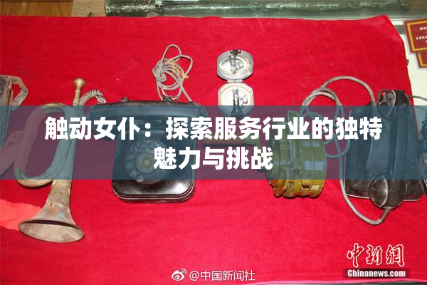 触动女仆：探索服务行业的独特魅力与挑战