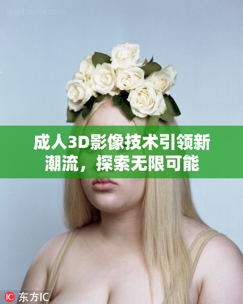 成人3D影像技术引领新潮流，探索无限可能