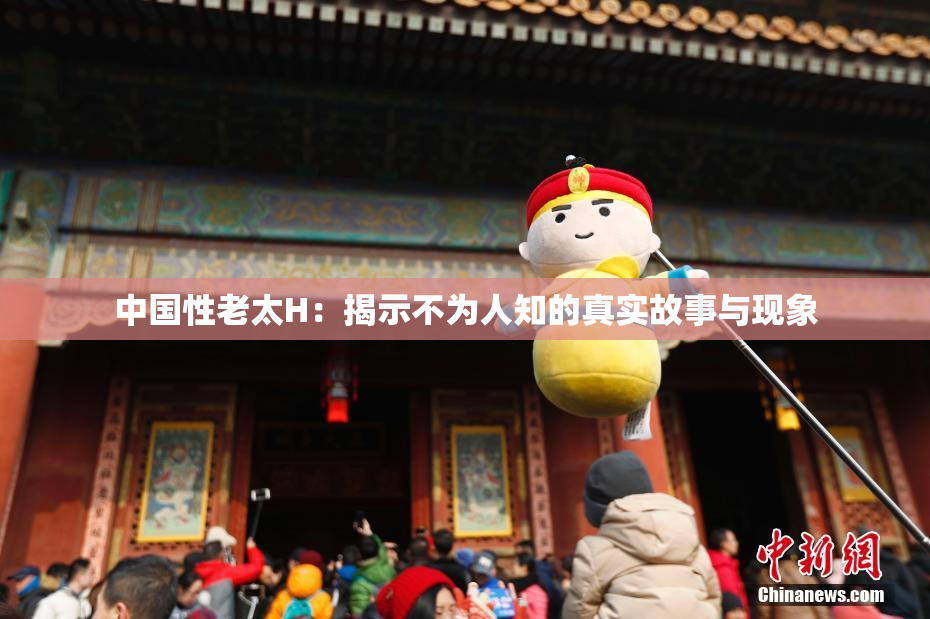 中国性老太H：揭示不为人知的真实故事与现象