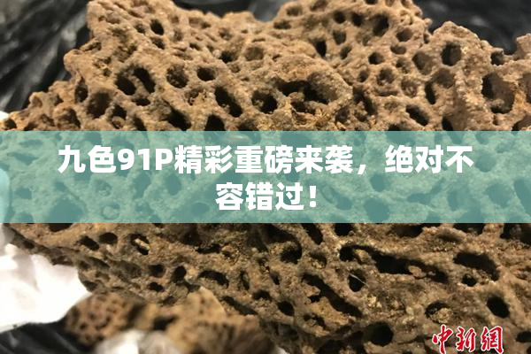 九色91P精彩重磅来袭，绝对不容错过！