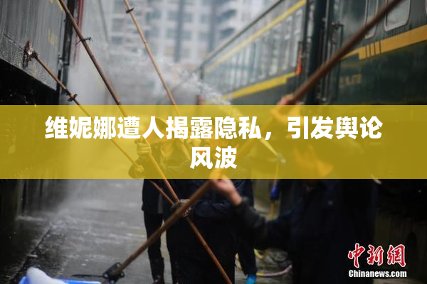 维妮娜遭人揭露隐私，引发舆论风波