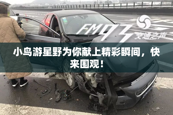小鸟游星野为你献上精彩瞬间，快来围观！