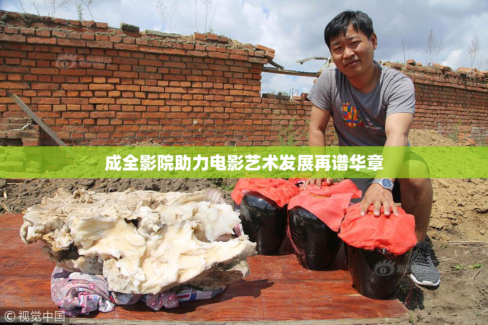 成全影院助力电影艺术发展再谱华章