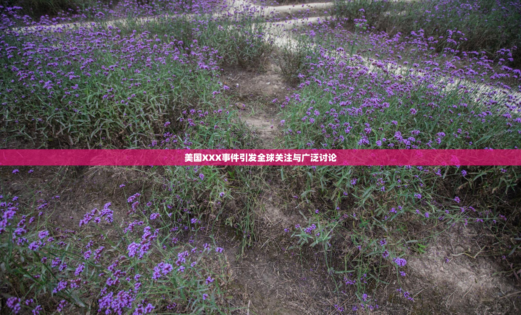 美国XXX事件引发全球关注与广泛讨论
