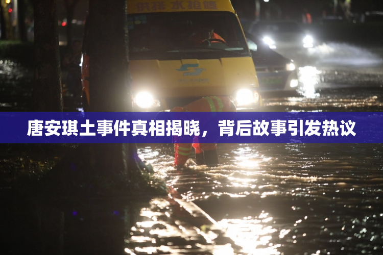 唐安琪土事件真相揭晓，背后故事引发热议