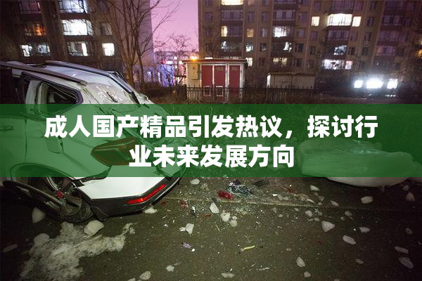 成人国产精品引发热议，探讨行业未来发展方向