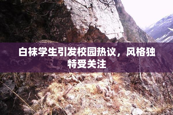 白袜学生引发校园热议，风格独特受关注