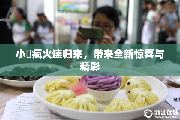 小泬疯火速归来，带来全新惊喜与精彩
