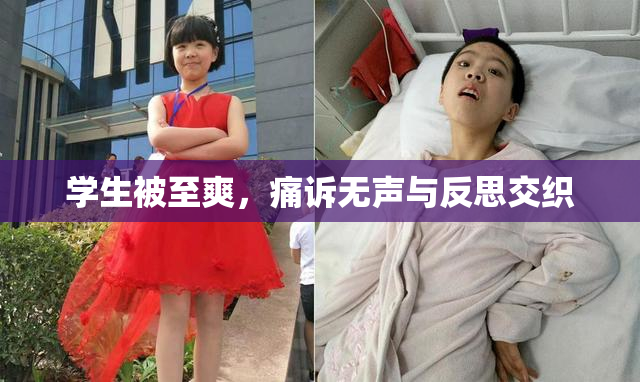 学生被至爽，痛诉无声与反思交织