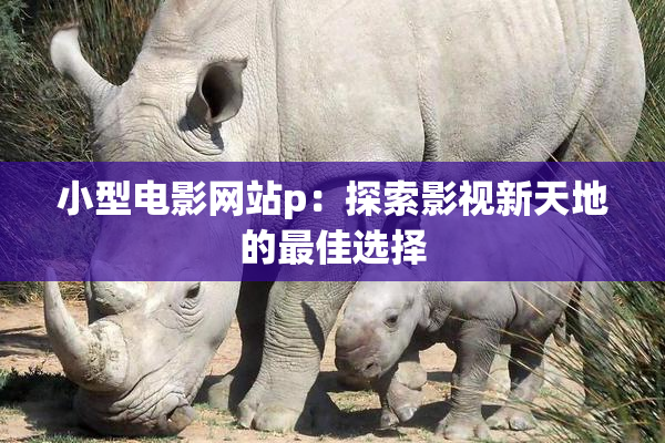 小型电影网站p：探索影视新天地的最佳选择
