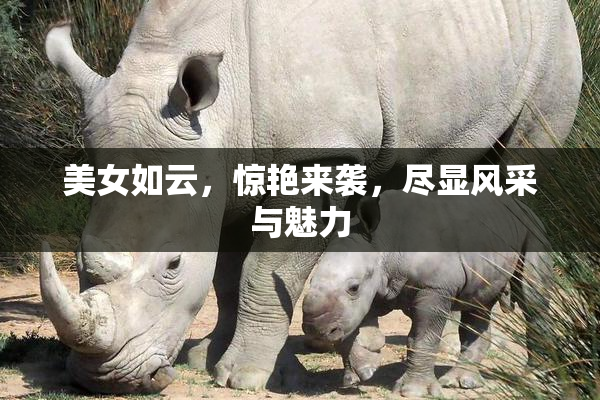 美女如云，惊艳来袭，尽显风采与魅力